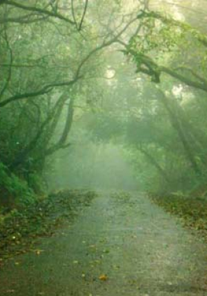 Mahabaleshwar - 4 Nights / 5 Days