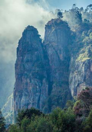 Bangalore & Kodaikanal - 6 Nights / 7 Days