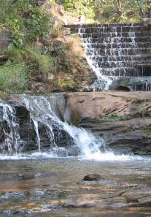 Panchmarhi - 7 Nights / 8 Days
